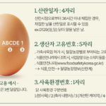 무항생제 인증 바른계란 난각1번 유정란 자연방사 계란 대란 15구 상품 이미지 4