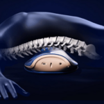 스트레칭부터 온열·EMS까지 한 번에 활용하는 무선 허리 마사지기 SL25EQ01 상품 이미지 5