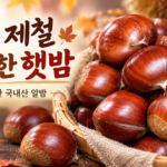 가을 간식 찾을 때 삶아 먹기 좋은 국내산 햇 알밤 생밤 가을 간식 특 사이즈 1kg 썸네일